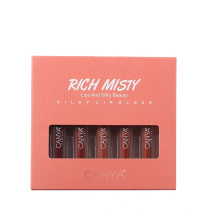 Canya New 5 colors lip makeup Velvet Lipgloss Moisturizing Sexy Classic Red Liquid Lipsticks  Sets